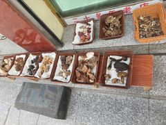 -草墩罗非鱼庄•野生菌•腊排骨(七星街上段店)