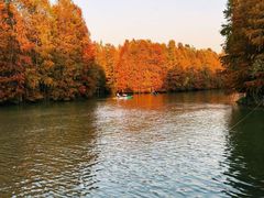 -上海海湾国家森林公园