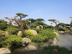 -罗红摄影艺术馆