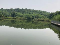 -东莞植物园