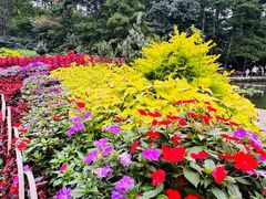 -庐山风景区花径公园