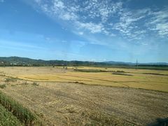 -横道河子东北虎林园
