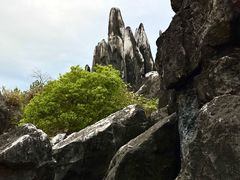 -玉石林风景区