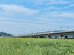 -光明小镇欢乐田园