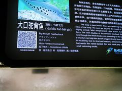 -泉城欧乐堡海洋极地世界