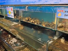 -仙螺岛海鲜自助餐厅(总店)