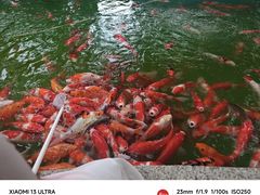 -郑州市动物园