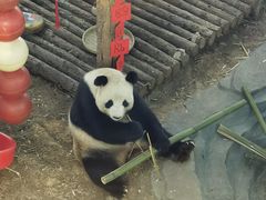 -大连森林动物园