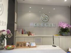 -关爱宠物医院·猫科中心·消化科(滨湖万达分院)