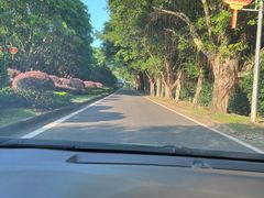 -福建鲤鱼洲酒店