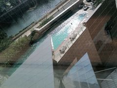 -深圳君悦酒店-游泳池