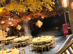 -老凯俚酸汤鱼(多彩城店)