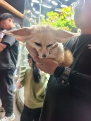 -Zoolung Zoolung动物主题公园(海信广场店)
