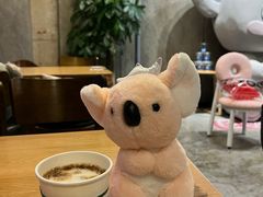 -了不起的考拉咖啡店(高新店)