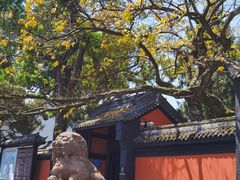 -成都武侯祠博物馆