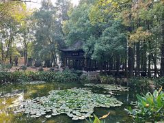 -东湖落雁景区