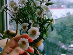 -千浔一暖DIY蛋糕烘焙(人民大学店)