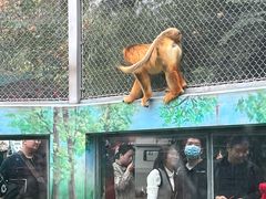 -西安秦岭野生动物园