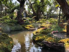 -Chom Cafe and Restaurant