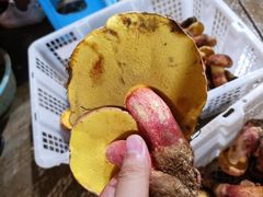 见手青-双喜农庄·菌香园(安居家园店)