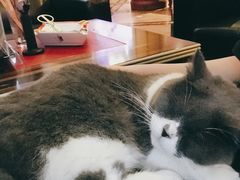 -雪茄客PURAVIDA俱乐部(上海店)