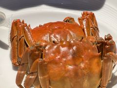 -柴门饭儿(成都太古里店)