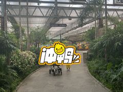 -南宫五洲植物乐园