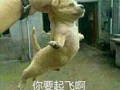 -必胜客(时代广场店)