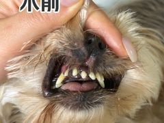 -美联众合动物医院·24h转诊中心