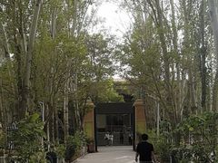 -艾提尕尔清真寺