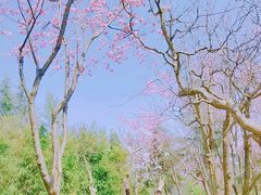 -昆明滇池国家级风景名胜区西山景区
