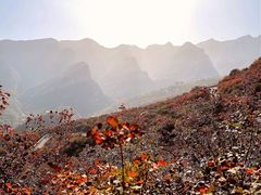 -周口店坡峰岭风景区