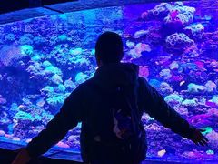 -太平洋海底世界