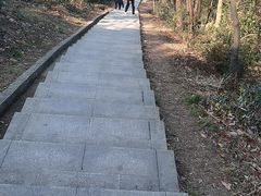 -桃花岭景区