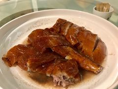-新兴·金羊座·粤菜点心(乐峰店)