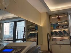 -碧莲盛·不剃发植发