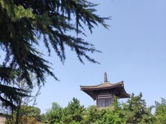 -法门文化景区