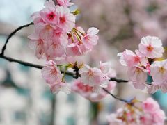 -静安雕塑公园
