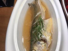 舟山野生小黄鱼-香浙汇(望京店)