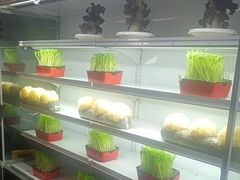 -番食园鲜食火锅(高新店)