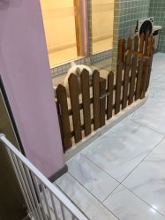 -Moni星球萌宠·小马宝莉·灵蛇·高端高阶全萌宠互动体验俱乐部(红豆国际广场店)