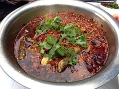 水煮黄辣丁-胖大姐黄辣丁鱼庄(新津店)