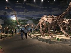 -自贡恐龙博物馆