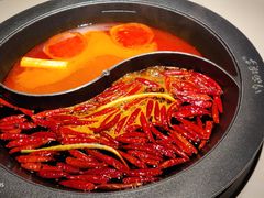 -川西坝子(老军营店)