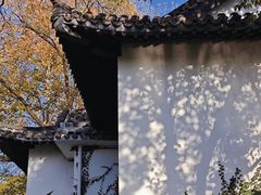 -浮庄