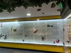 -上海大自然野生昆虫馆(东方明珠·爬宠昆虫探索中心)