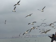 -悦海公园