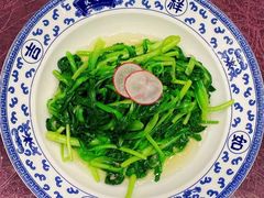 鸡毛菜-宁波状元楼酒店(和义路店)