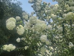 -桐乡植物园