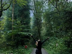 -西岭雪山大飞水景区